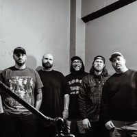 The Acacia Strain