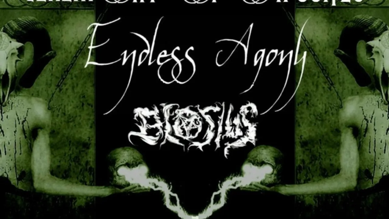 Endless Ceremony Tour ( Part France )
