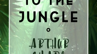 Welcome to the Jungle