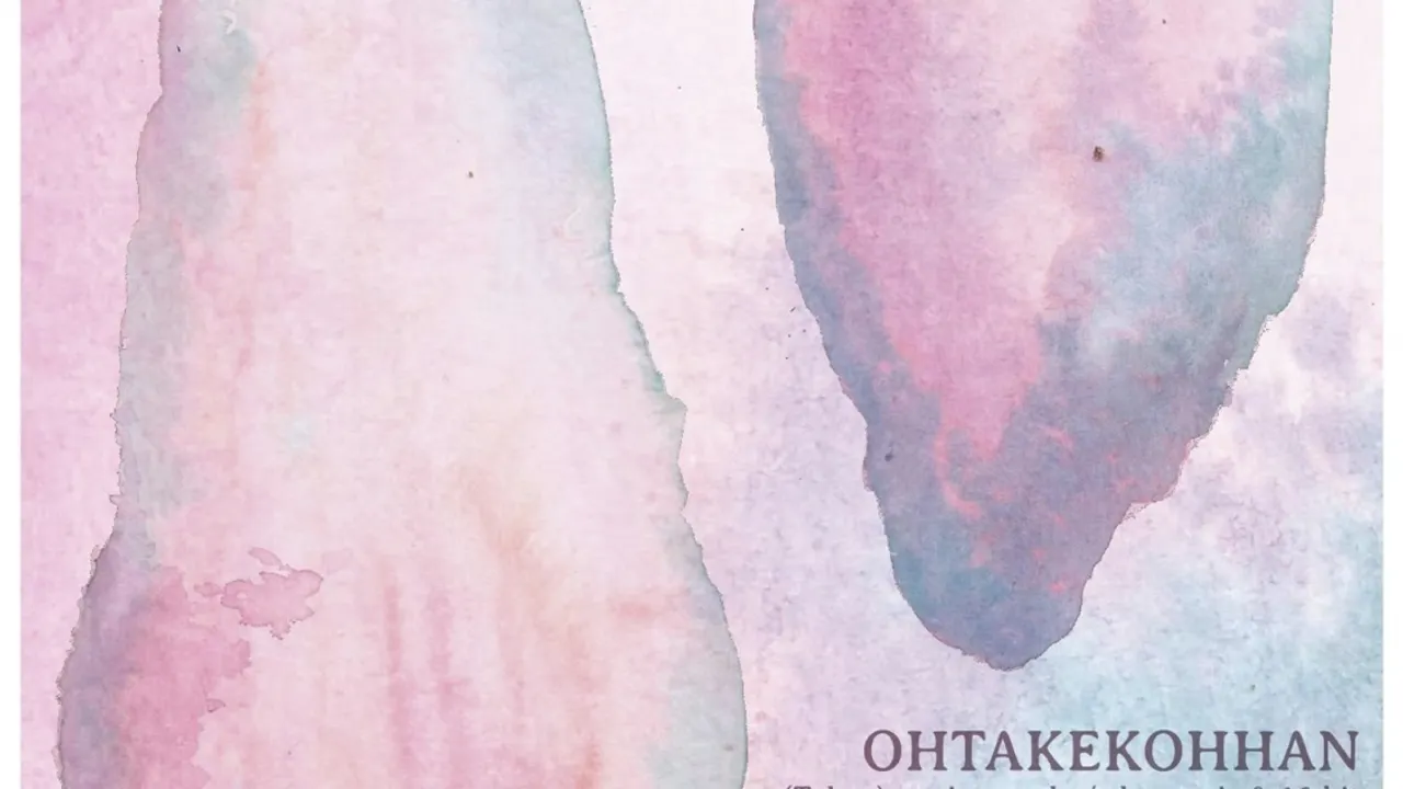 Ohtakekohhan + Les Hôpitaux + Nanorisk Akatsuki + emboe