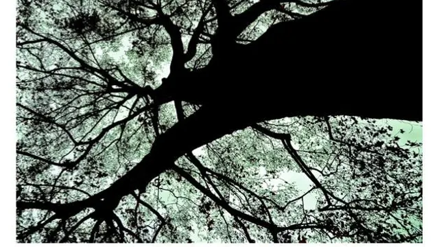 DEEPLY ROOTED W/DJ DEEP - TERENCE FIXMER - LEIF