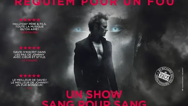 DAVID HALLYDAY, Requiem pour un fou