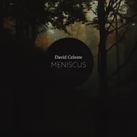 David Celeste