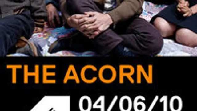 The Acorn