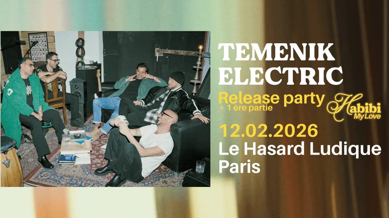 Temenik Electric en concert