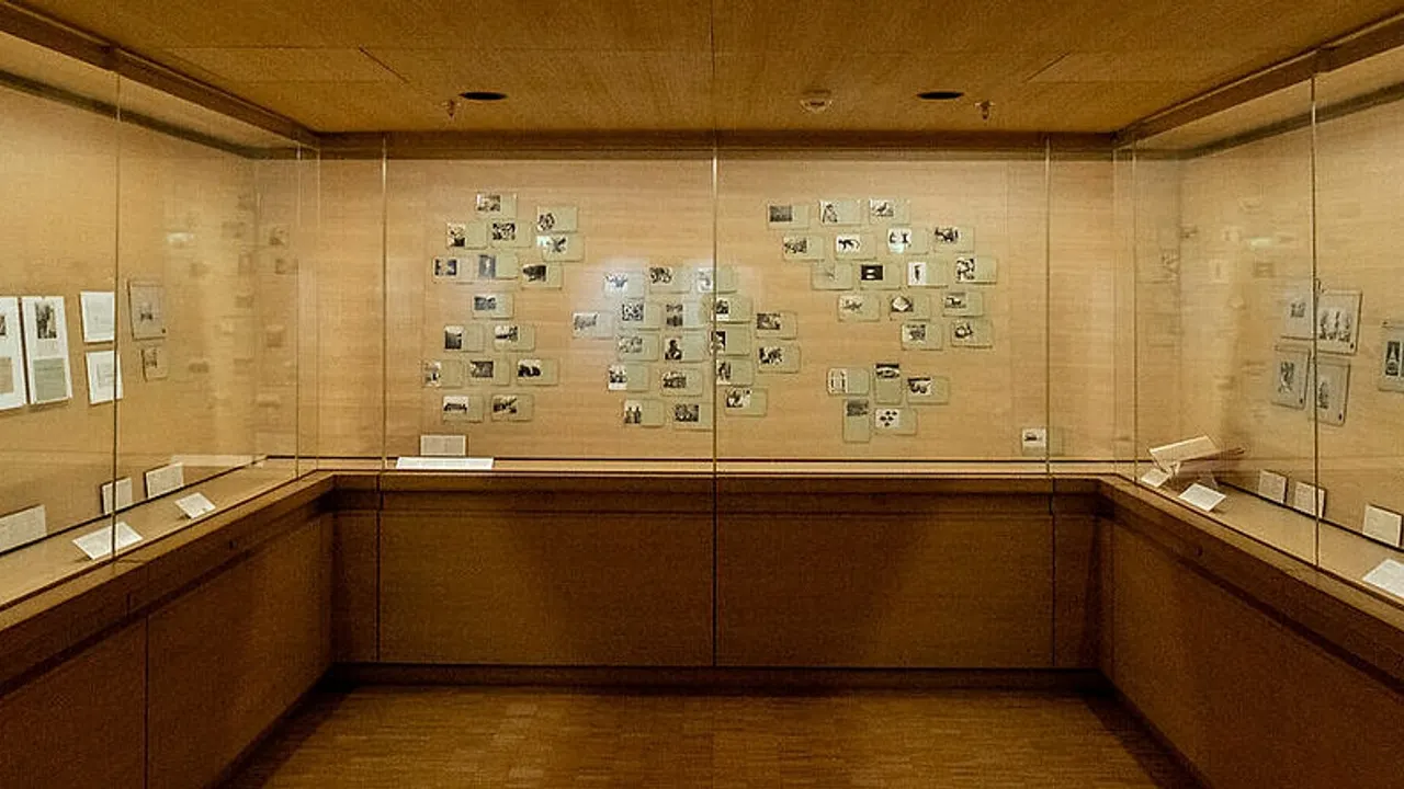 Sciences coloniales, photographies de l’Institut Français d’Afrique Noire (1936-1966)
