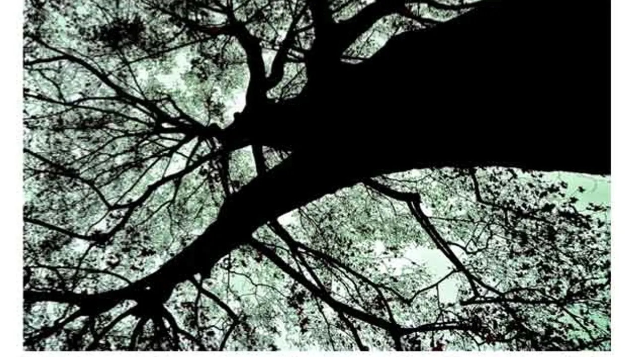 DEEPLY ROOTED
