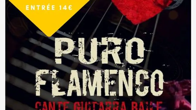 Puro Flamenco + Voleurs de Groove