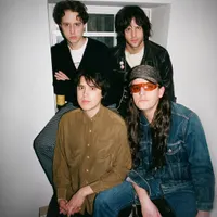 Beach Fossils