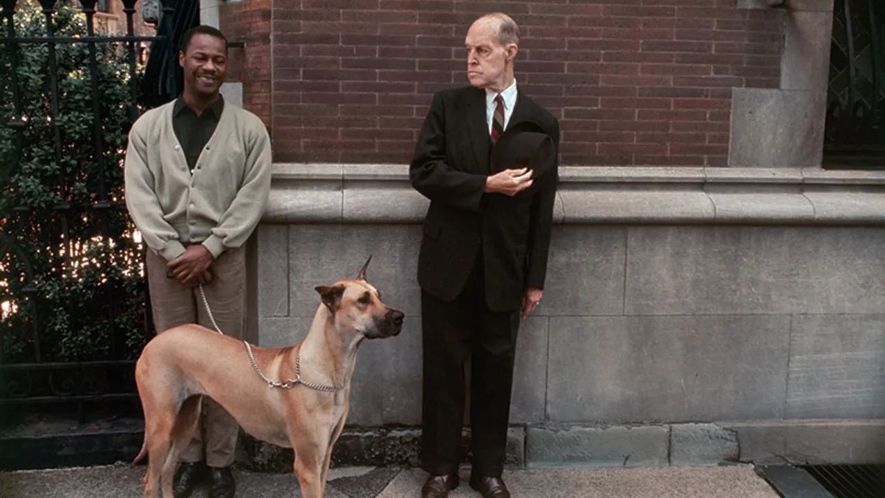 Joel Meyerowitz