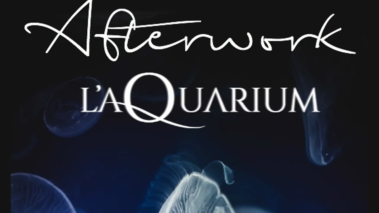 Afterwork à l'Aquarium de Paris