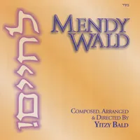 Mendy Wald