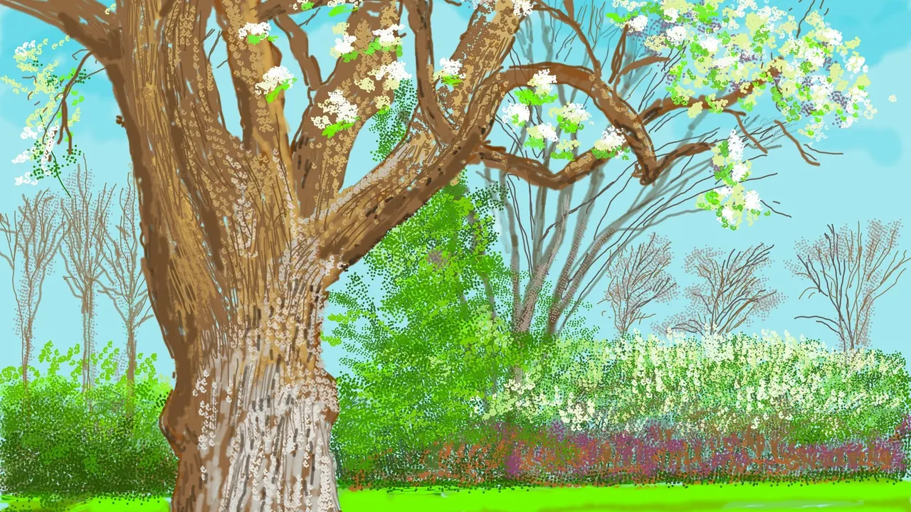 David Hockney 25