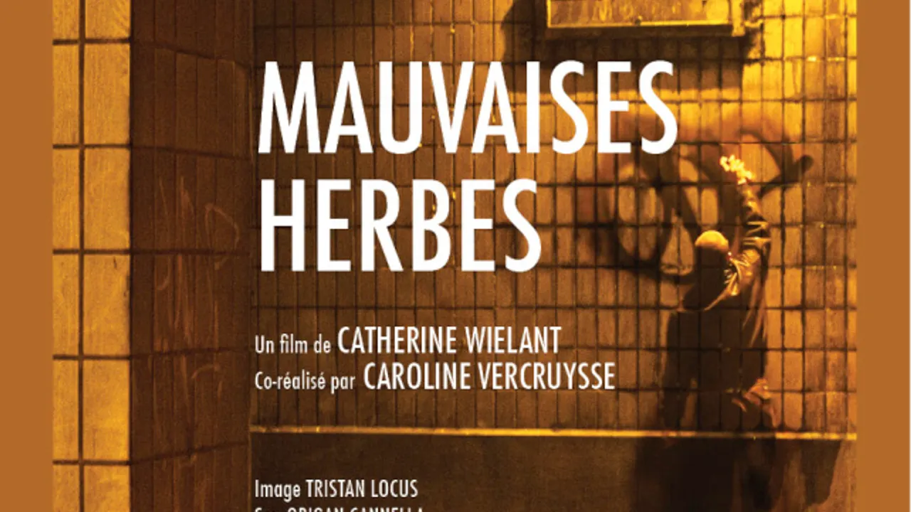 Projection : graffiti mauvaises herbes