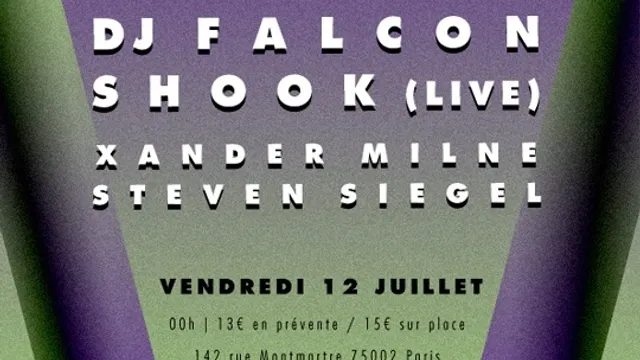 Vulture avec Shook Live, Dj Falcon, Alan Braxe