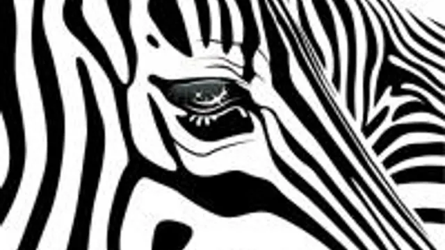 Freak N'chic