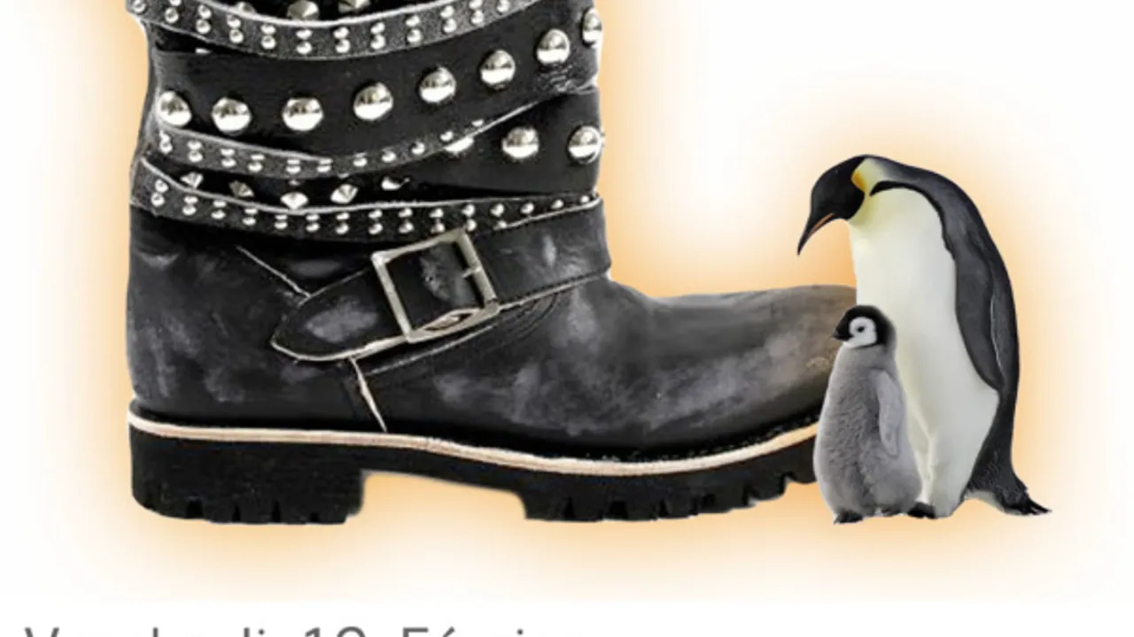 Dancing Shoes // Jusque 4h !