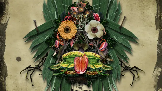 Donso
