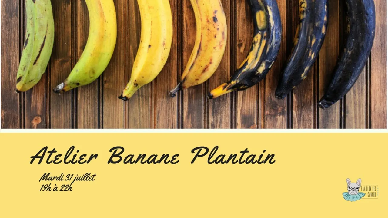 Atelier Banane Plantain