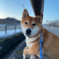 お柴鉱脈