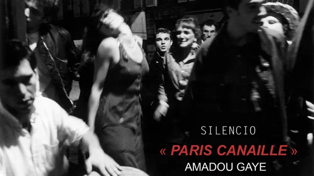 Exposition "Paris Canaille"