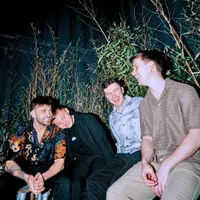 The Lilacs