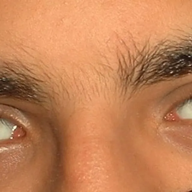 Abdelmonom T