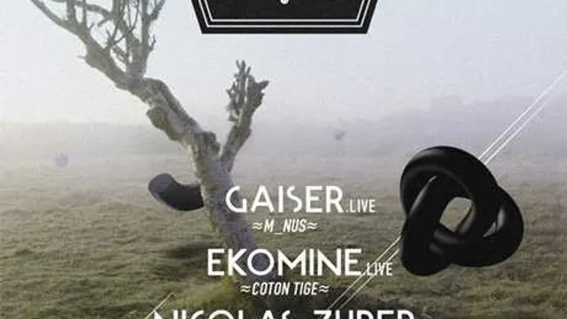 COTON TIGE : GAISER Live