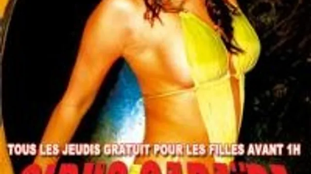 Gibus Caraibe