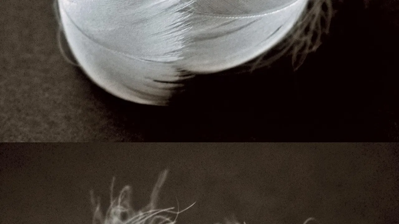 Ballet de l'Opéra national du Rhin / Radhouane El Meddeb "Le lac des cygnes"