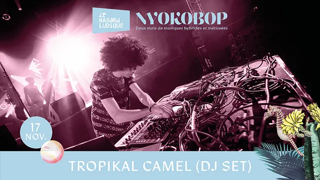 Tropikal CAMEL (dj set) X Nyokobop