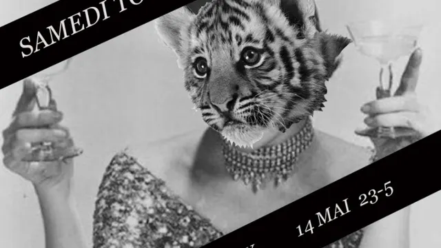 SAMEDI TOUT EST PERMIS