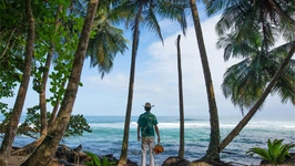 Exposition « Palm » de Matt Henry