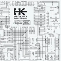 Hackney Electronica