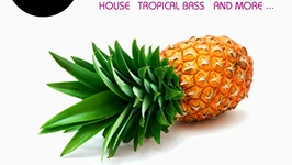 TROPICAL DISCOTHEQUE