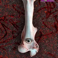 Teeth