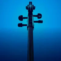 Disney String Quartet