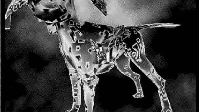 Les 1-0-1 Dalmatiens