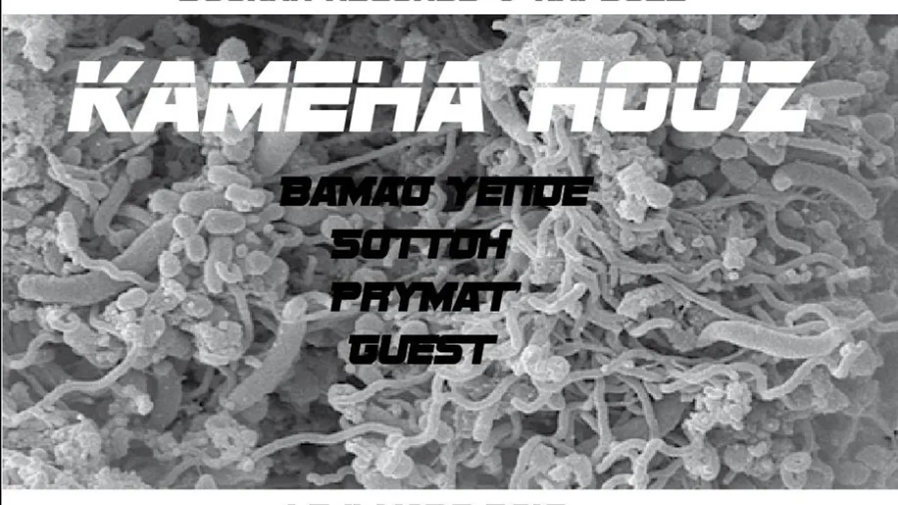 KAMEHA HOUZ
