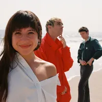 Kitten
