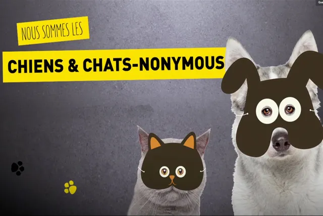 On va ronronner à Chiens & Chats l'expo !