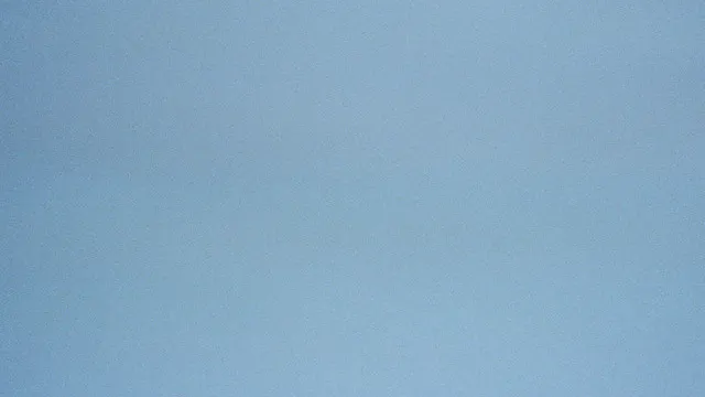 Vulfpeck