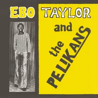 The Pelikans