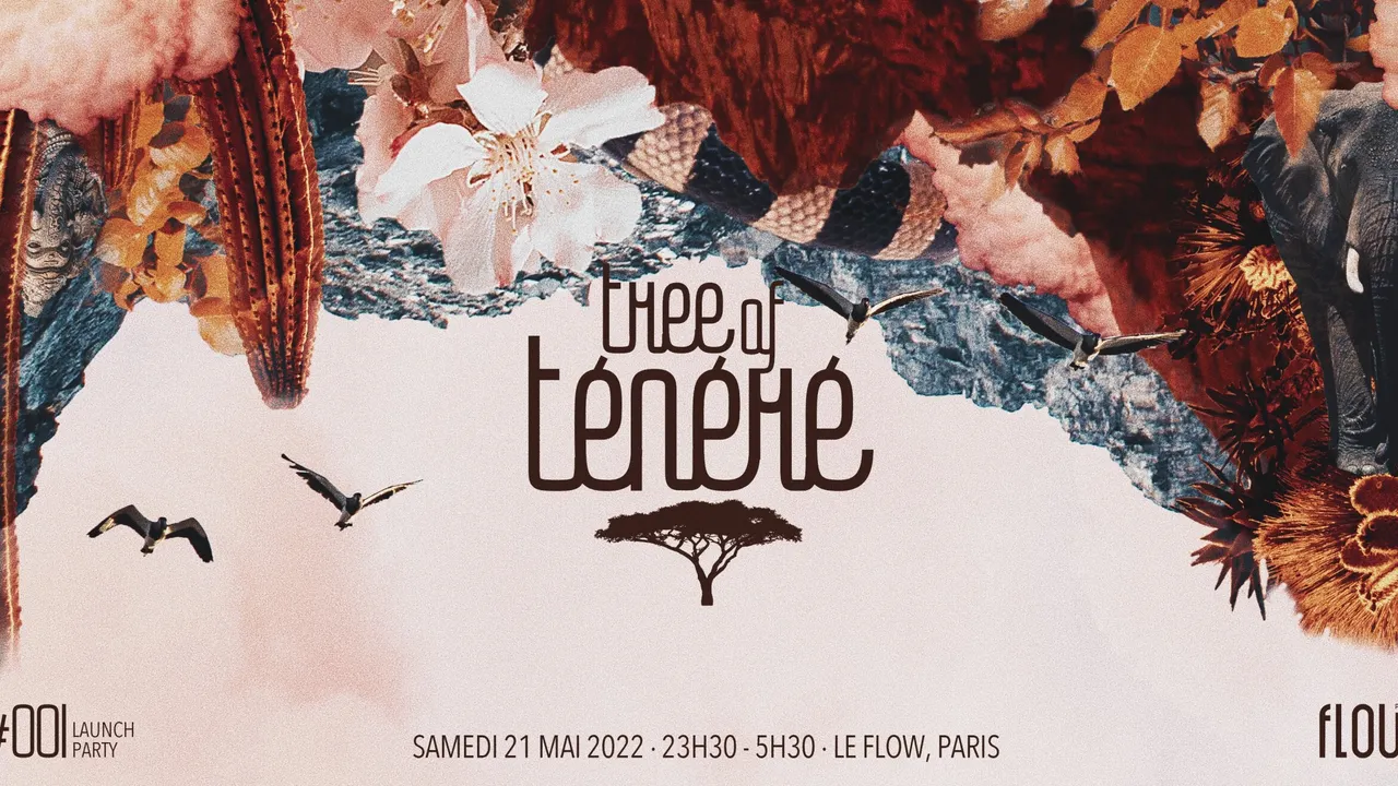 Tree of Ténéré x Le Flow - Launch Party
