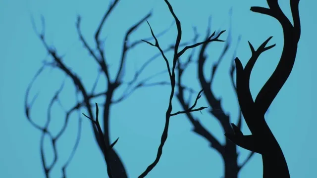 AU CŒUR DE LA FORET