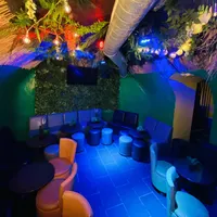 Jungle Zone