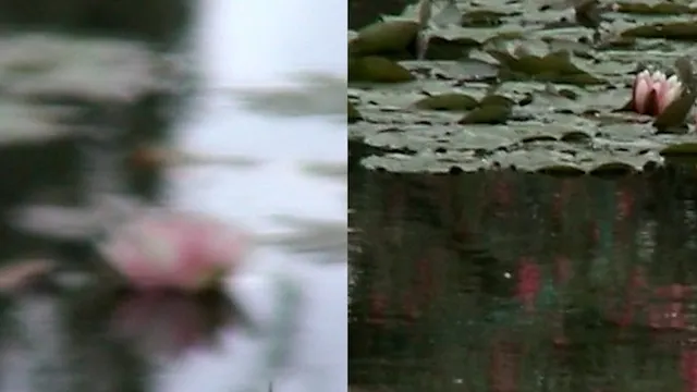Ange Leccia · (D') Après Monet
