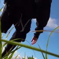 Kala