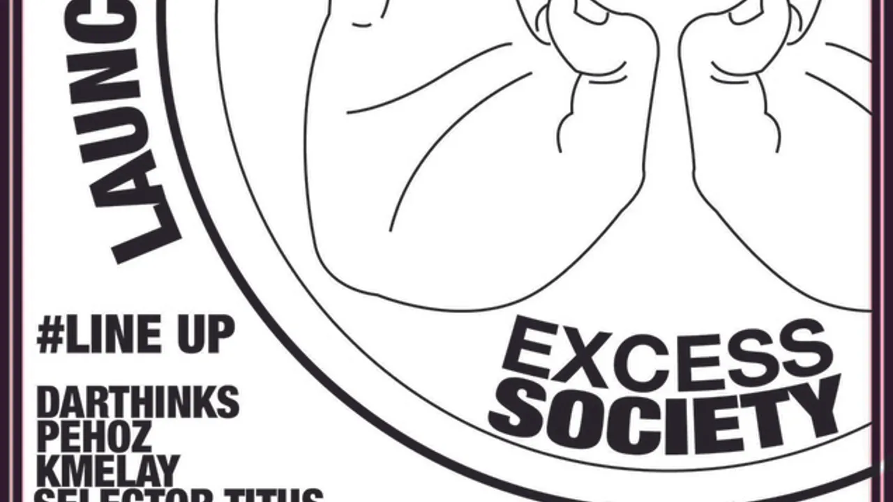 Excess Society