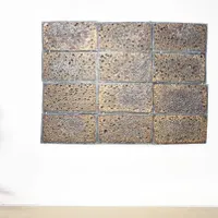 Vincent Dubourg, Densité